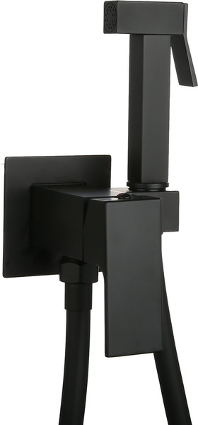 Гигиенический душ со смесителем Roxen Caspia 50096000-B - фото