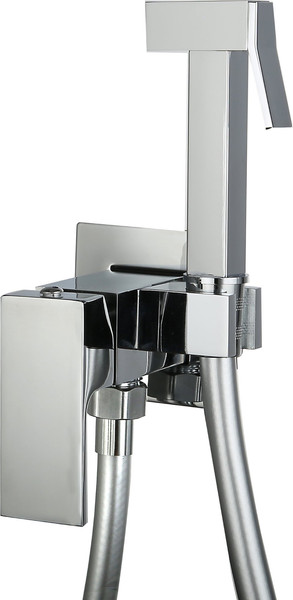 Гигиенический душ со смесителем Roxen Caspia 50096000-CH - фото