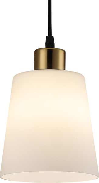 Потолочный светильник ESCADA 120004/1P / ES0000039