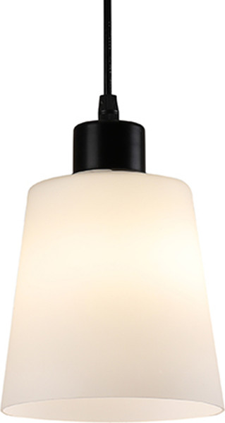 Потолочный светильник ESCADA 120004/1P / ES0000041