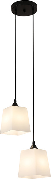 Потолочный светильник ESCADA 160003/2P / ES0000026 - фото