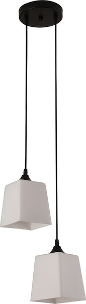 Потолочный светильник ESCADA 160003/2P / ES0000026