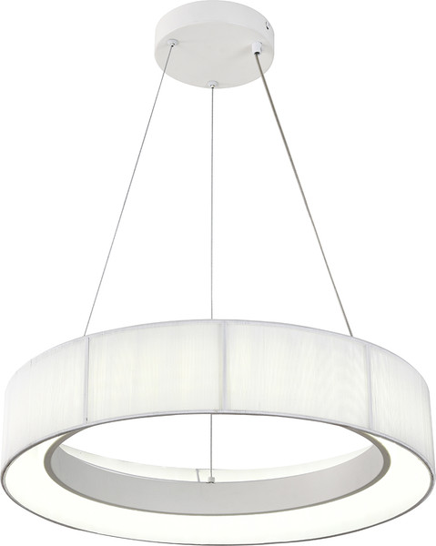 Потолочный светильник Indigo Light Luminosa V000209L - фото