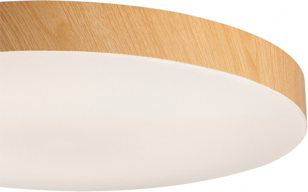 Потолочный светильник Sonex Gamma 7761/50L