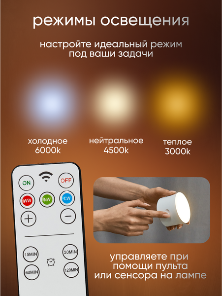 Настольная лампа Solmax&Home SM43009