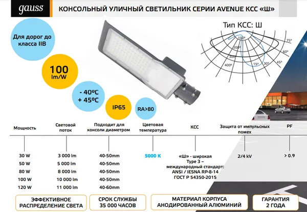 Светильник уличный Gauss 629534350