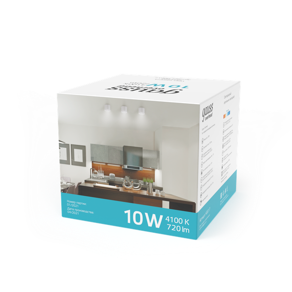 Точечный светильник Gauss Overhead HD024