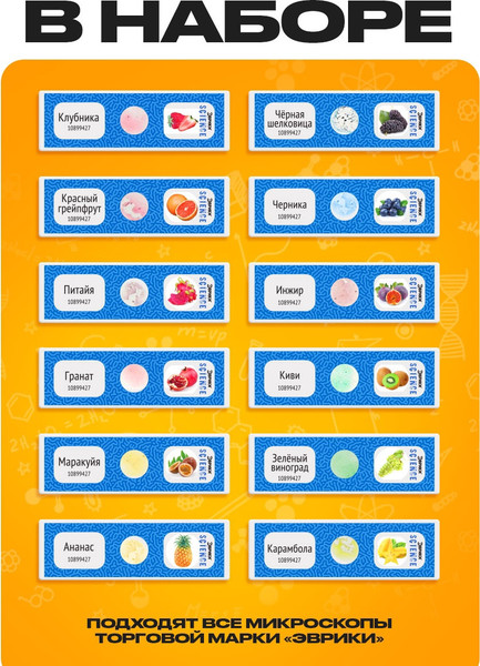 Набор микропрепаратов Эврики Набор микропрепаратов / 10899427