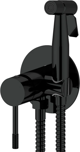 Гигиенический душ со смесителем Vieir V403553N - фото