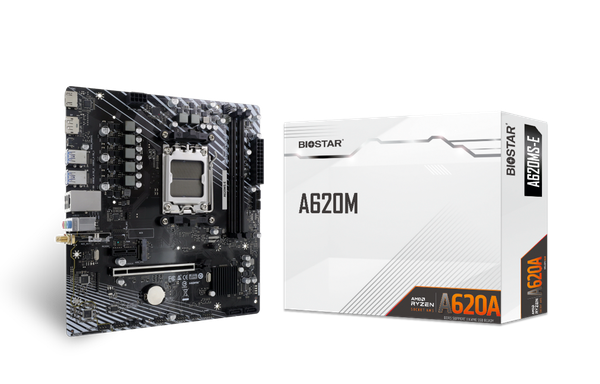 Материнская плата Biostar A620MS-E