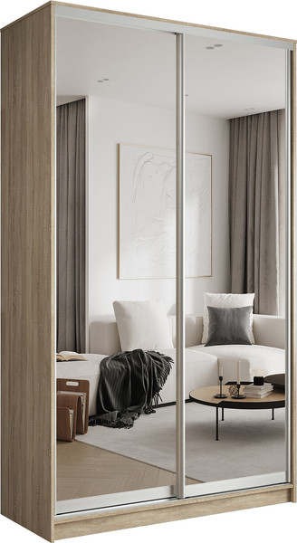 Шкаф-купе Евва АЭП ШК.2 02 138 SS.05 - фото