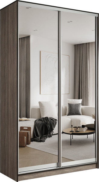 Шкаф-купе Евва АЭП ШК.2 02 138 TS.05 - фото