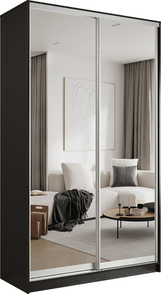 Шкаф-купе Евва АЭП ШК.2 02 138 VS.05 - фото