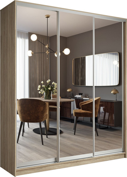 Шкаф-купе Евва АЭП ШК.3 02 203 SS.05 - фото