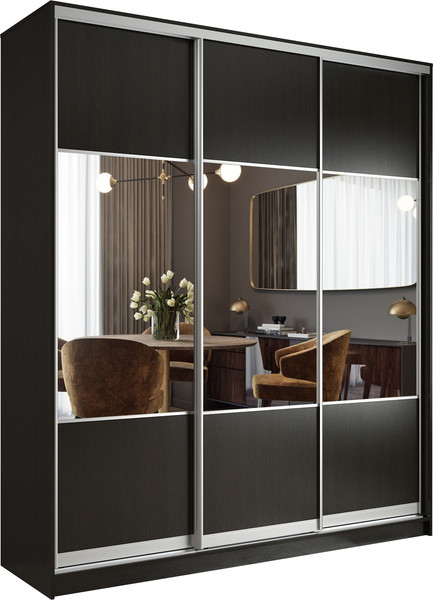 Шкаф-купе Евва АЭП ШК.3 02 203 VS.01 - фото