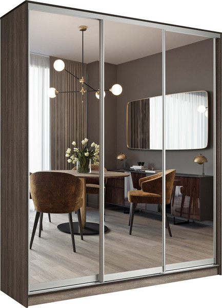 Шкаф-купе Евва АЭП ШК.3 01 233 TS.05 - фото