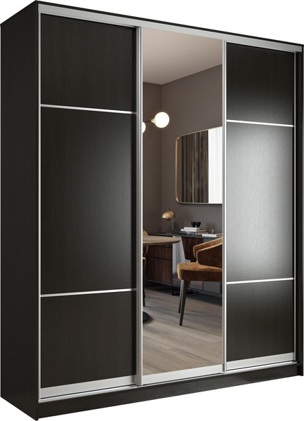 Шкаф-купе Евва АЭП ШК.3.01 233 VS.02 - фото