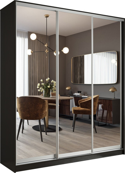 Шкаф-купе Евва АЭП ШК.3 01 233 VS.05 - фото