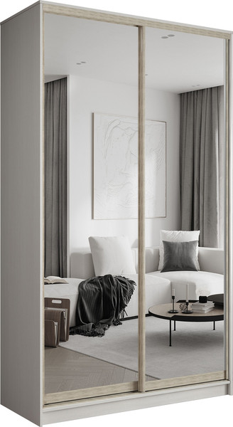 Шкаф-купе Евва АЭП ШК. 2.03 120 BbH.05 - фото