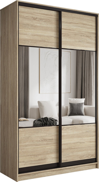 Шкаф-купе Евва АЭП ШК.2.03 120 SSG.01 - фото