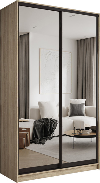 Шкаф-купе Евва АЭП ШК.2.03 120 SG.05 - фото