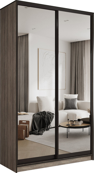 Шкаф-купе Евва АЭП ШК.2.02 138 TG.05 - фото