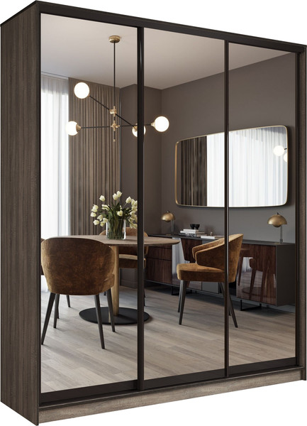 Шкаф-купе Евва АЭП ШК.3.03 176 TG.05 - фото