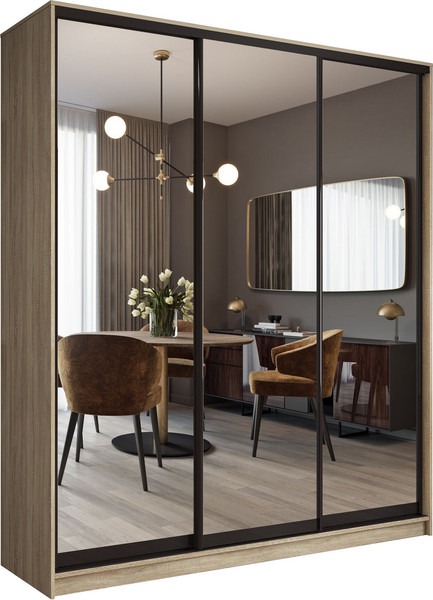 Шкаф-купе Евва АЭП ШК.3.01 233 SG.05  - фото