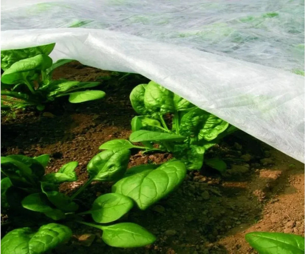 Укрывной материал ЧЗМ Спанбонд №30 2.1х10м