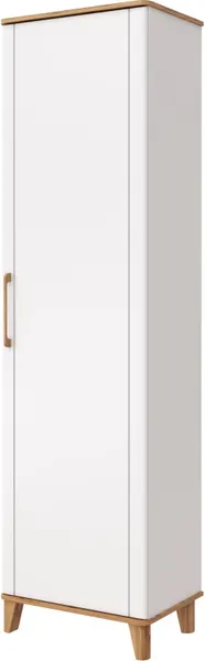 Шкаф MODULA Карпин INV01HP-1D-618/425/2205(02) - фото