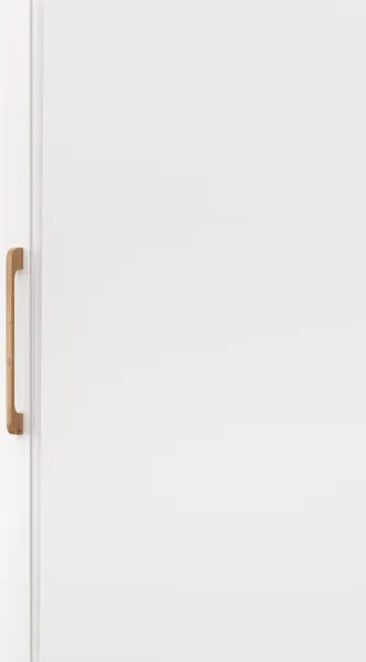 Шкаф MODULA Карпин INV01HP-1D-618/425/2205(02)