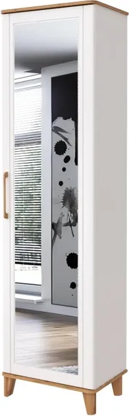 Шкаф MODULA Карпин INV01HP-1Z-618/425/2205(02) - фото