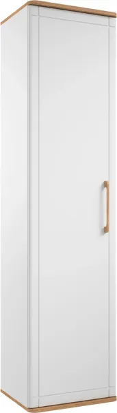 Шкаф MODULA Карпин INV01HS-1D-502/425/2014(02) - фото