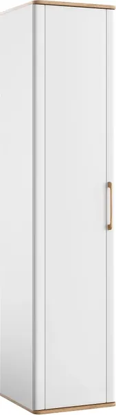 Шкаф MODULA Карпин INV01HS-1D-502/498/2204(02) - фото