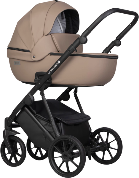 Детская универсальная коляска Riko Montana X Ecco 2 в 1 Basic 22 - фото