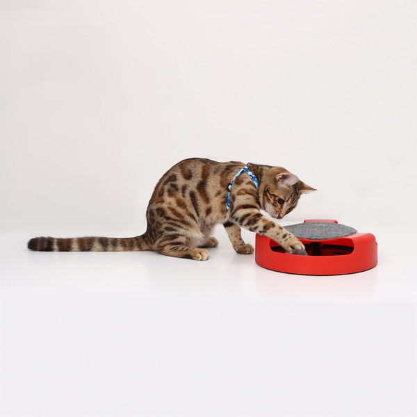 Игрушка для кошек Пижон Игровой комплекс с подвижной мышкой / 6253488