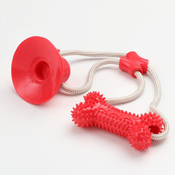 Игрушка для собак Sima-Land Кость на присоске / 7916136