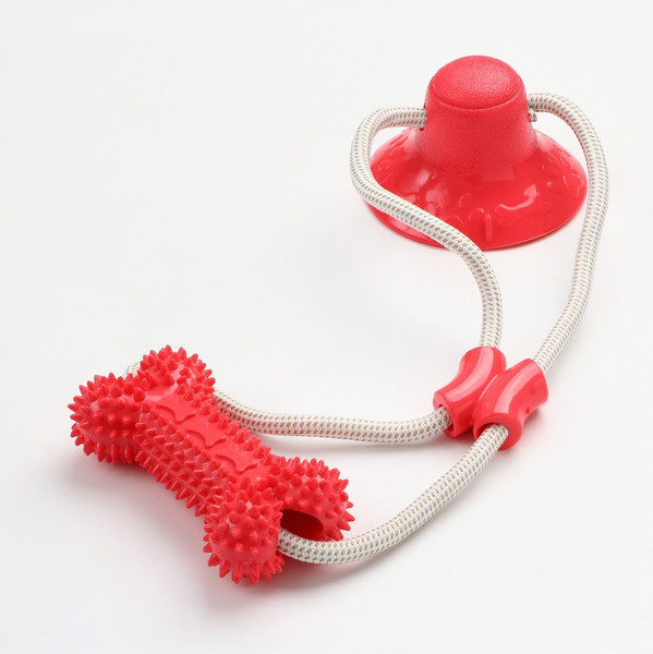 Игрушка для собак Sima-Land Кость на присоске / 7916136