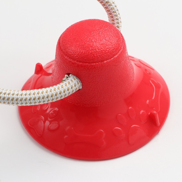 Игрушка для собак Sima-Land Кость на присоске / 7916136