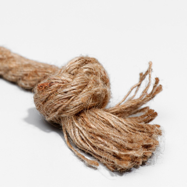 Игрушка для собак Sima-Land Пес / 6255545