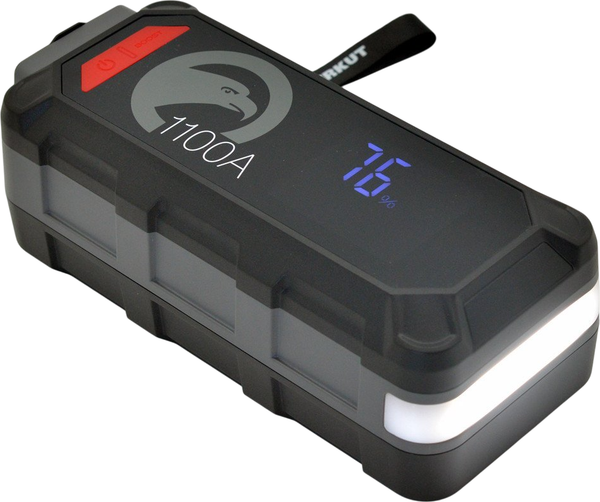 Пуско-зарядное устройство Беркут PSL-150