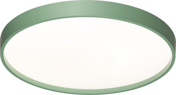 Потолочный светильник Sonex Mavic 7743/ELN