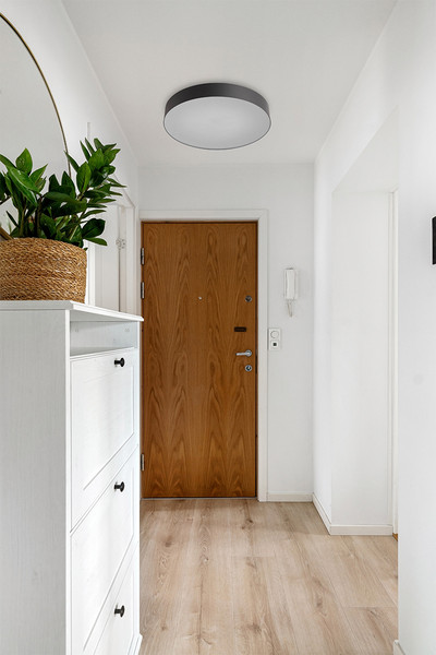 Потолочный светильник Sonex Optima 7780/ELN