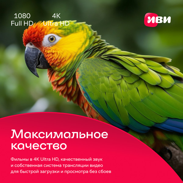 Сертификат доступа на подписку ivi+ 1 месяц