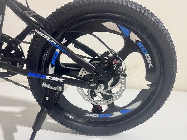 Детский велосипед ROOK MS201D