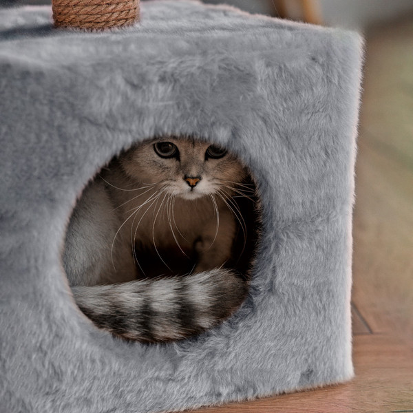 Домик-когтеточка Sima-Land 9485900