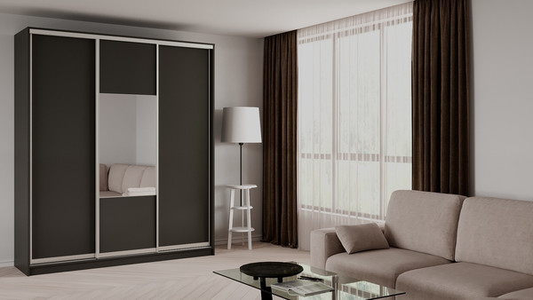 Шкаф-купе Рэйгрупп 203450 KKX Elgon РГ-02.05