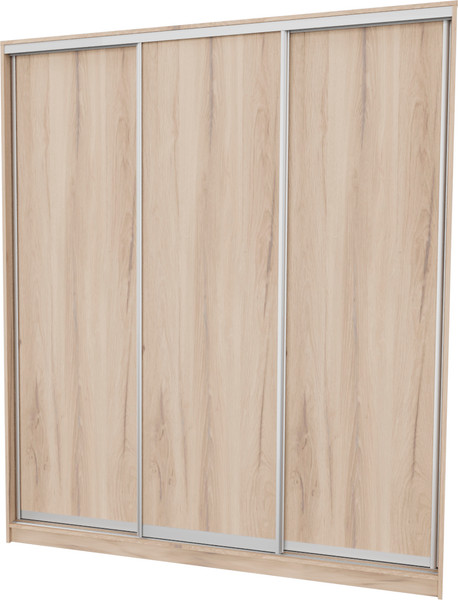 Шкаф-купе Рэйгрупп 176450 EEX Elgon РГ-03.03 - фото