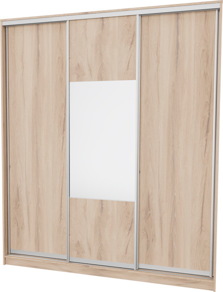 Шкаф-купе Рэйгрупп 233450 EEX Elgon РГ-01.05 - фото