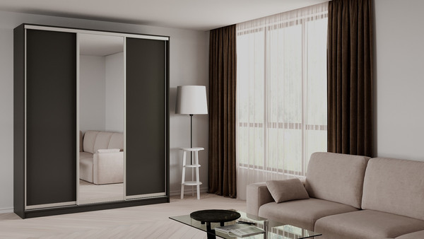 Шкаф-купе Рэйгрупп 203 KKX Elgon РГ-02.02